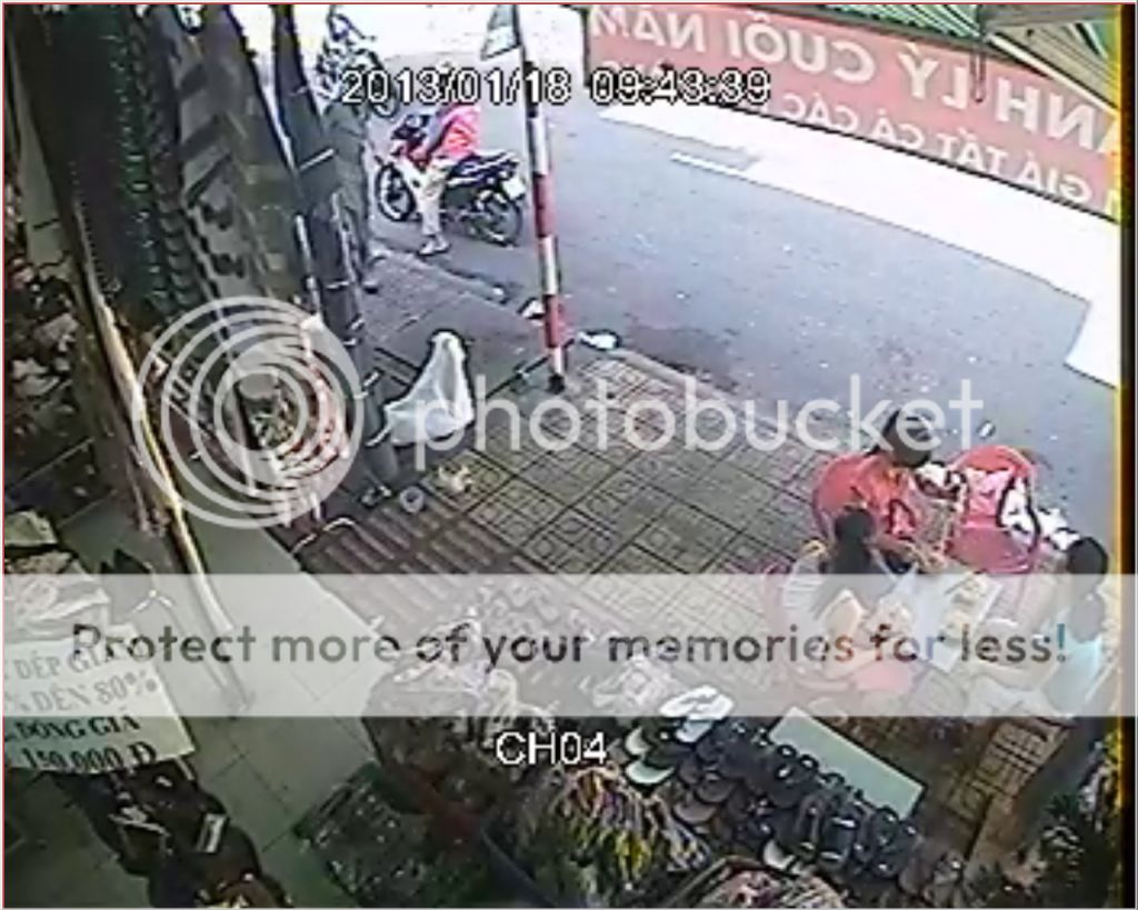 Ai bị bắt chó-nuôi chó-có tình cảm với chó vào xem nhé! - 2