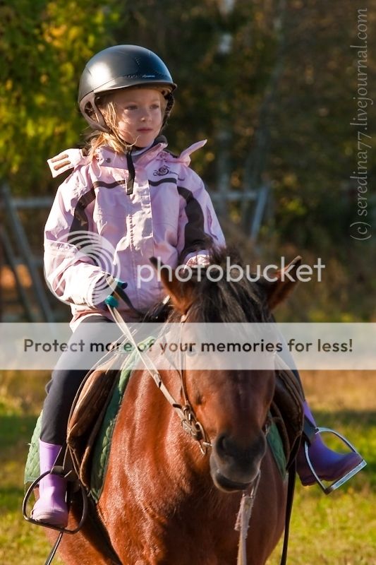 photo IMG_0777.jpg