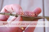 th_DSC_7002.jpg