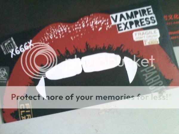 vamps live 1