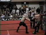 Enzuiguiri Kick