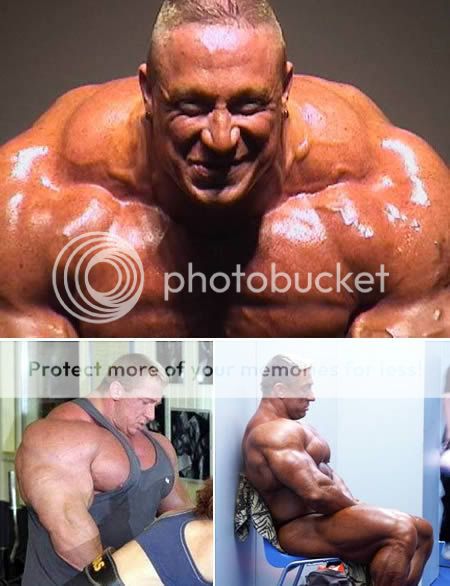 arnold schwarzenegger workout photos. arnold schwarzenegger